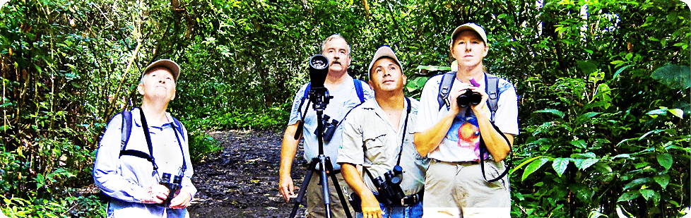 Image is not available