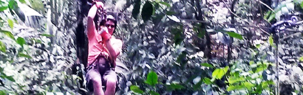 Image is not available